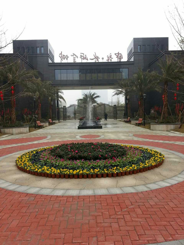 水岸金城